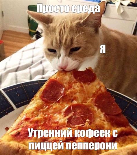 Мем: "Просто среда Я Утренний кофеек с пиццей пепперони" - Все шаблоны ...