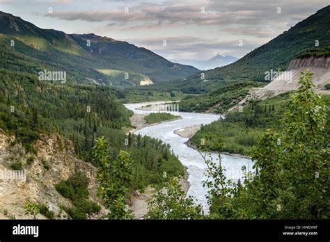 Nenana River Near Healy Alaska And Denali National Park Stock Photo