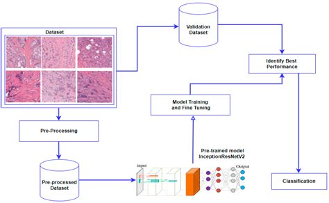 Electronics Free Full Text Framework For Detecting Breast Cancer