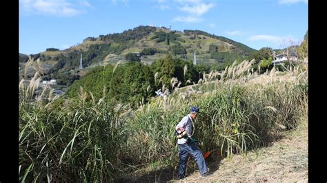 Shizuoka S CHAGUSABA Farming Method A Globally Important Agricultural