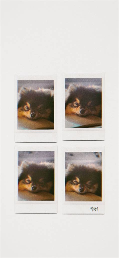 Yeontan Polaroid Bts Hd Phone Wallpaper Pxfuel