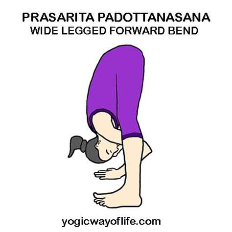 Prasarita Padottanasana - Wide Legged Forward Bend Pose - Yogic Way of Life