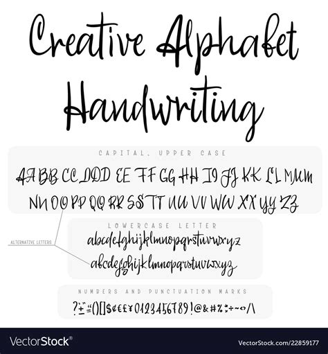 Modern Calligraphy Vintage Handwritten Font Vector Image