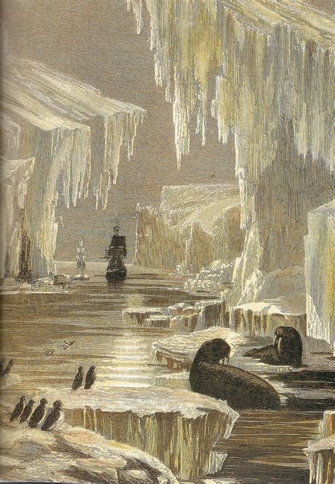 Victorian Era Fan Guide Hms Erebus And Hms Terror In Search Of The