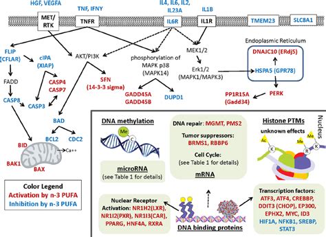 Epigenetic Effects Of N 3 PUFA In The Colon Intestinal Genes That Are