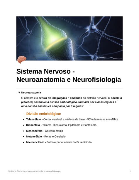 Resumo Klauss Neuroanatomia Sistema Nervoso Neuroanatomia E