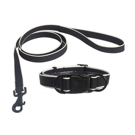 collar leash set