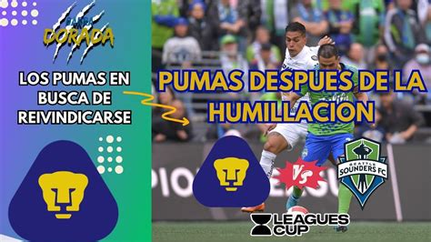 La Garra Dorada Pumas Despues De La Humillacion Buscan