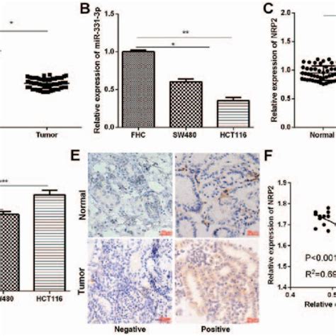 Expressions Analysis Of Mir P And Nrp In Crc Tissue Samples And