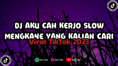 Dj Aku Cah Kerjo Kane Viral Tiktok Youtube