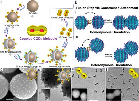 Coupled Colloidal Quantum Dot Molecules Accounts Of Chemical Research