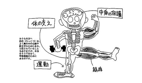 骨と筋肉のはたらきの検索結果 Yahoo きっず検索