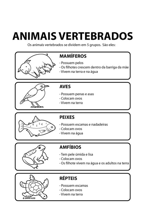 Plano De Aula Animais Vertebrados E Invertebrados Kulturaupice Porn