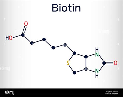 Biotin Vitamin B7 Molecule Structural Chemical Formula Vector