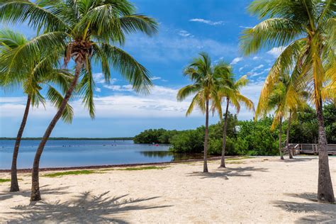 Key Largo W Marcu Pogoda I Rednia Temperatura W Marcu Floryda