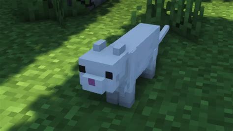 Cuter Cats Minecraft Texture Pack