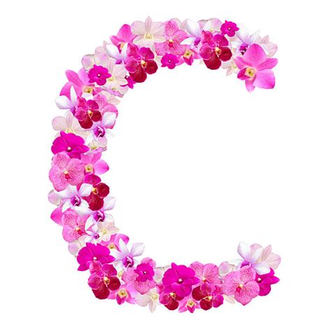 Best Flower Alphabet Letter C Stock Photos Pictures And Royalty Free