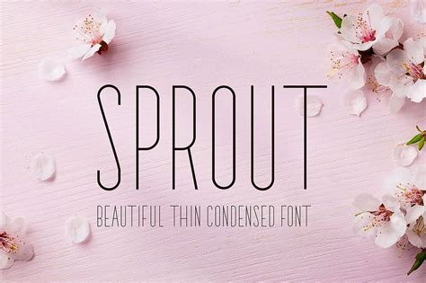 50+ Best Condensed & Narrow Fonts of 2020 | Design Shack