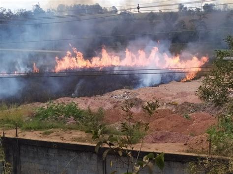 Fato Real Fogo em vegetação provoca danos ao meio ambiente e à saúde