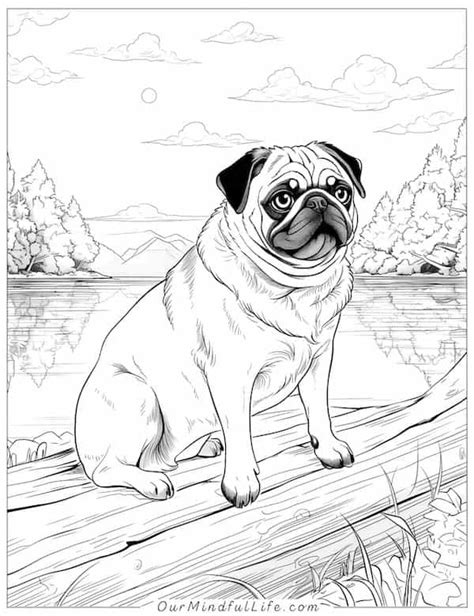 36 Super Cute Pug Coloring Pages Free Printables Our Mindful Life