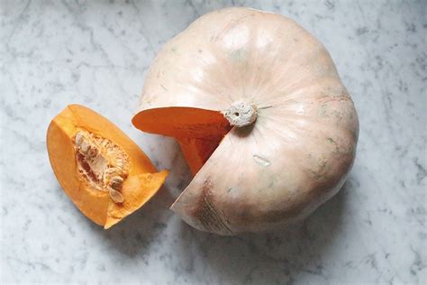 5 Modi Per Cucinare La Zucca The Bluebird Kitchen