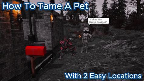 Fallout 76 How To Tame And Keep A Pet Youtube