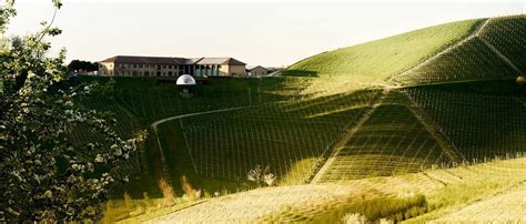 The most famous wine cellars in the Langhe to visit