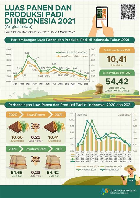 Dibandingkan 2020 Produksi Beras Tahun 2021 Turun 140 730 Ton Niaga Asia