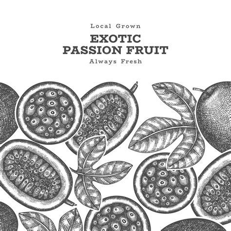 Premium Vector Hand Drawn Sketch Style Passion Fruit Banner Organic