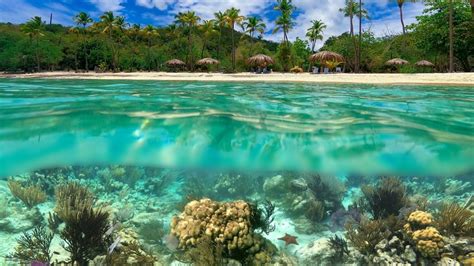 14 Top-Rated Snorkeling Beaches Around The World