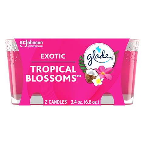 Glade Candle Christmas Candles Infused With Essential Oils Exotic