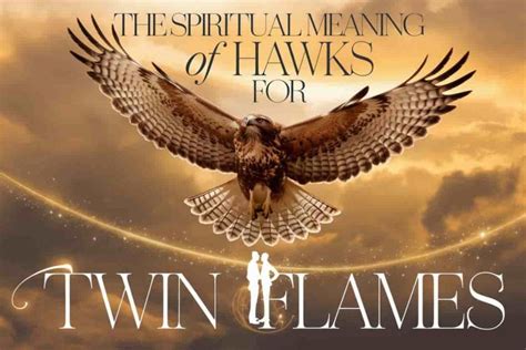 The Spiritual Meaning Of Hawks For Twin Flames