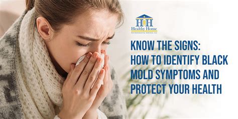 How To Identify Black Mold Symptoms Healthy Home Environmental