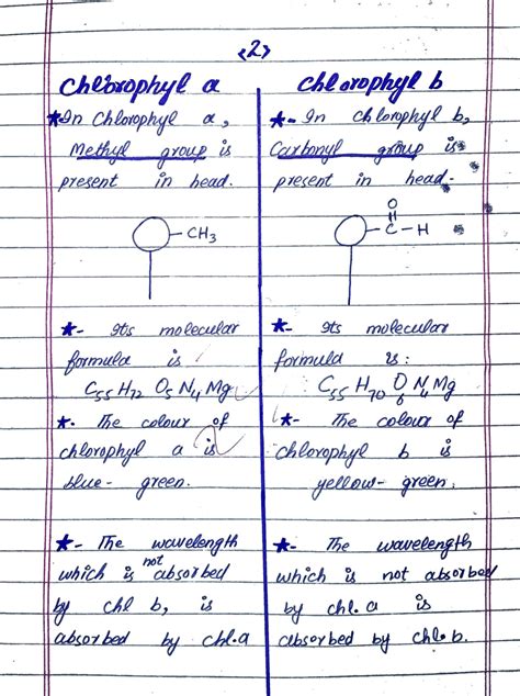 Solution 1st Year Biology Paper Attemption Method Calvin Cycle Its