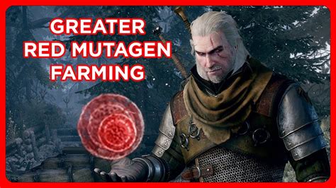 The Witcher Greater Red Mutagen Farming Youtube