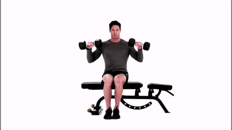 Seated Reverse Dumbbell Curl Exercise Youtube