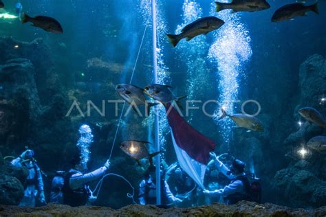 Upacara Bendera Di Seaworld Ancol Antara Foto