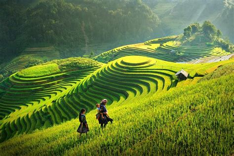 Hanoi Package Tour To Sapa And Halong Bay For Days