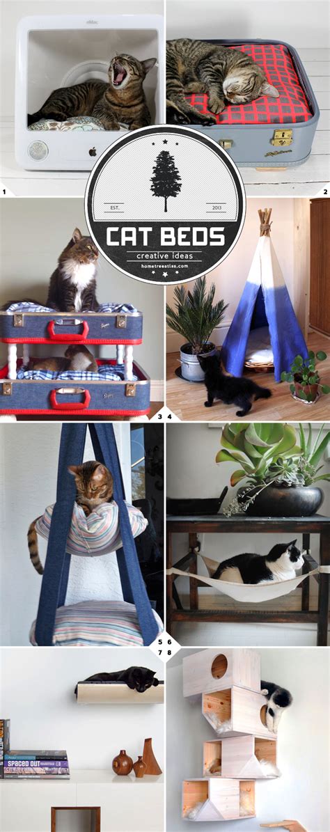 Making Sleeping Arrangements Creative Ideas For Cat Beds Home Tree Atlas