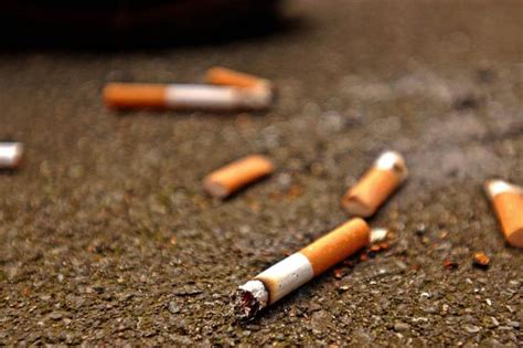 Council Endorses A Smoke Free North Tyneside In Less Than 10 Years