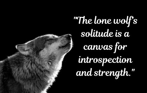 220 Best Lone Wolf Quotes To Fuel Your Spirit