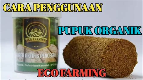 Cara Penggunaan Pupuk Organik Eco Farming Youtube