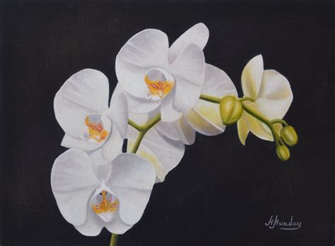 White Orchid Flower Painting