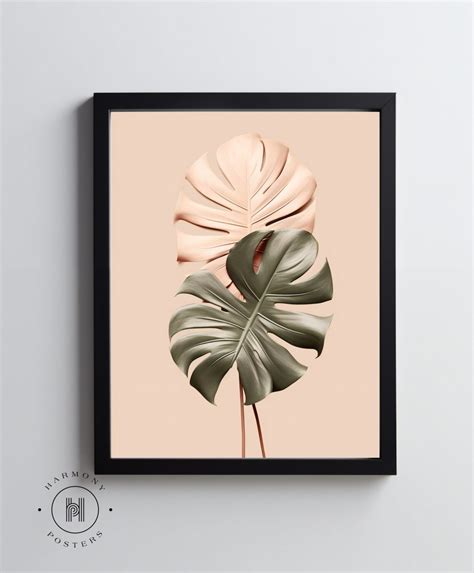 Miedziana Monstera X Cm Bez Ramy Harmony Posters Sklep