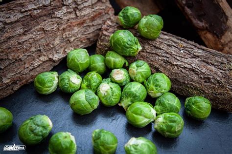 Rosenkohl Einfrieren Das Solltest Du Beachten