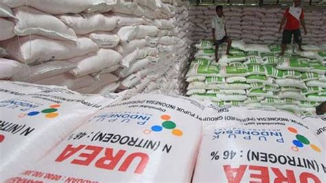 Kapasitas Produksi Capai 13 9 Juta Ton Apa Benar Pupuk Subsidi Langka