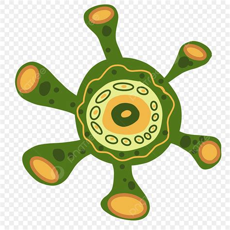 Cartoon Bacteria Illustration Cocci Bacteria Cocci Illustration Png