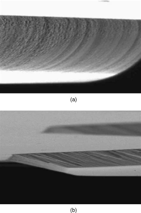 Figure 10 From Design And Fabrication Of Microwell Array Chips For A