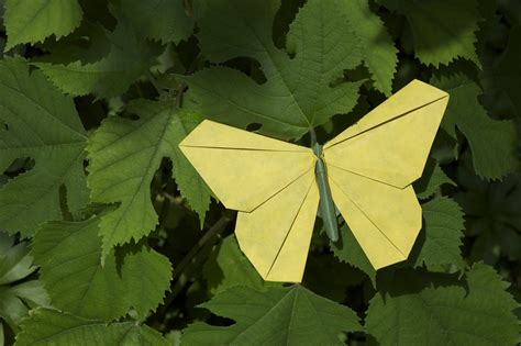 Michael Lafosses Origami Butterflies Origamido Studio