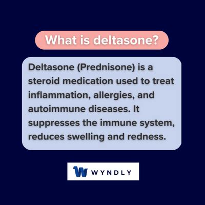 Deltasone Definition: What Is Deltasone? (2024) & Wyndly